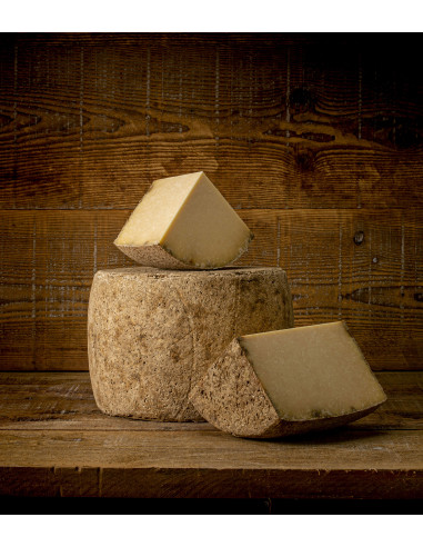Cantal Vieux AOP Tunnel